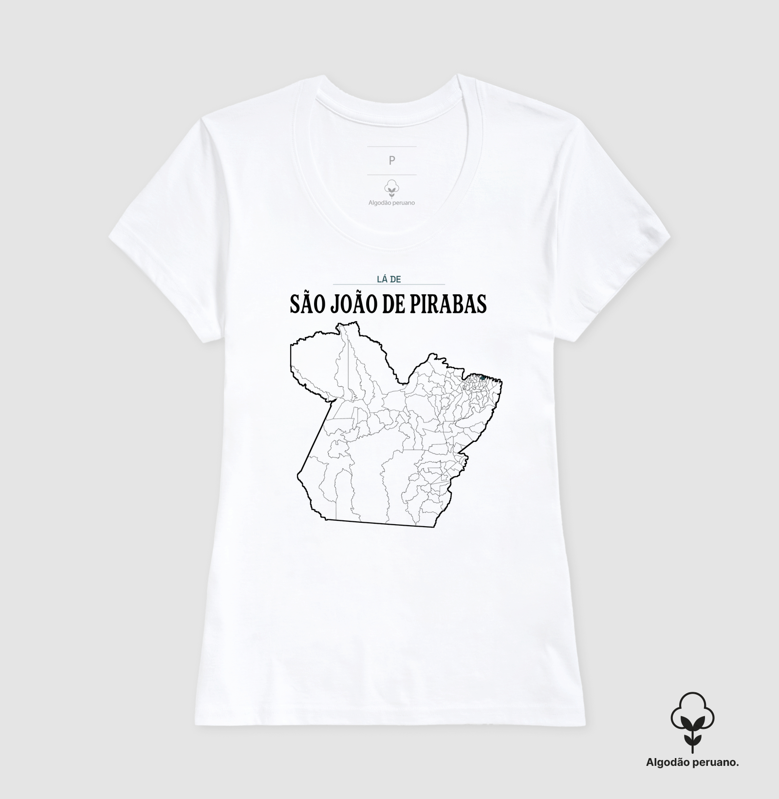 São João de Pirabas | Território PA - Imagem 6