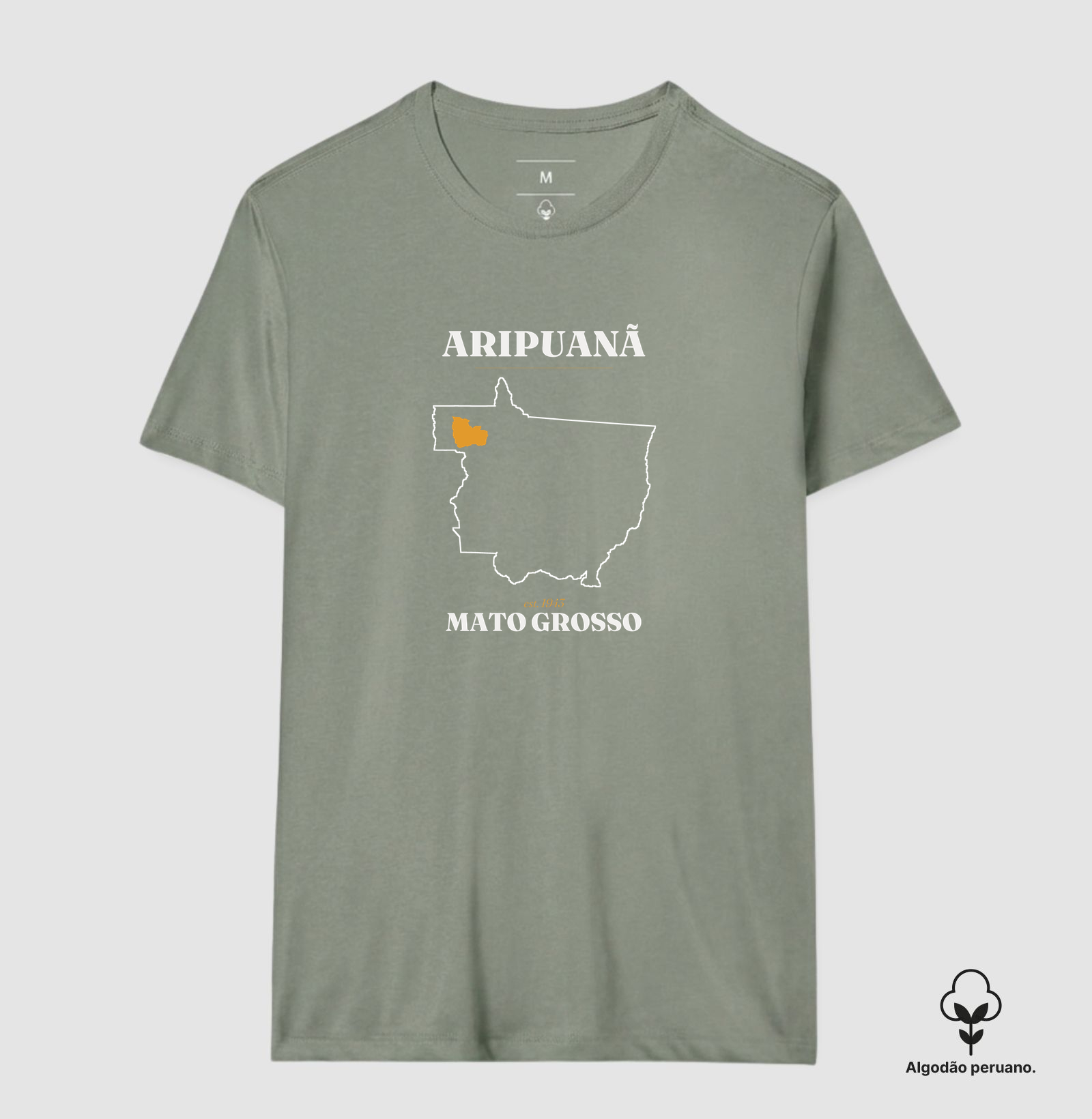 Aripuanã | Legado MT - Imagem 9