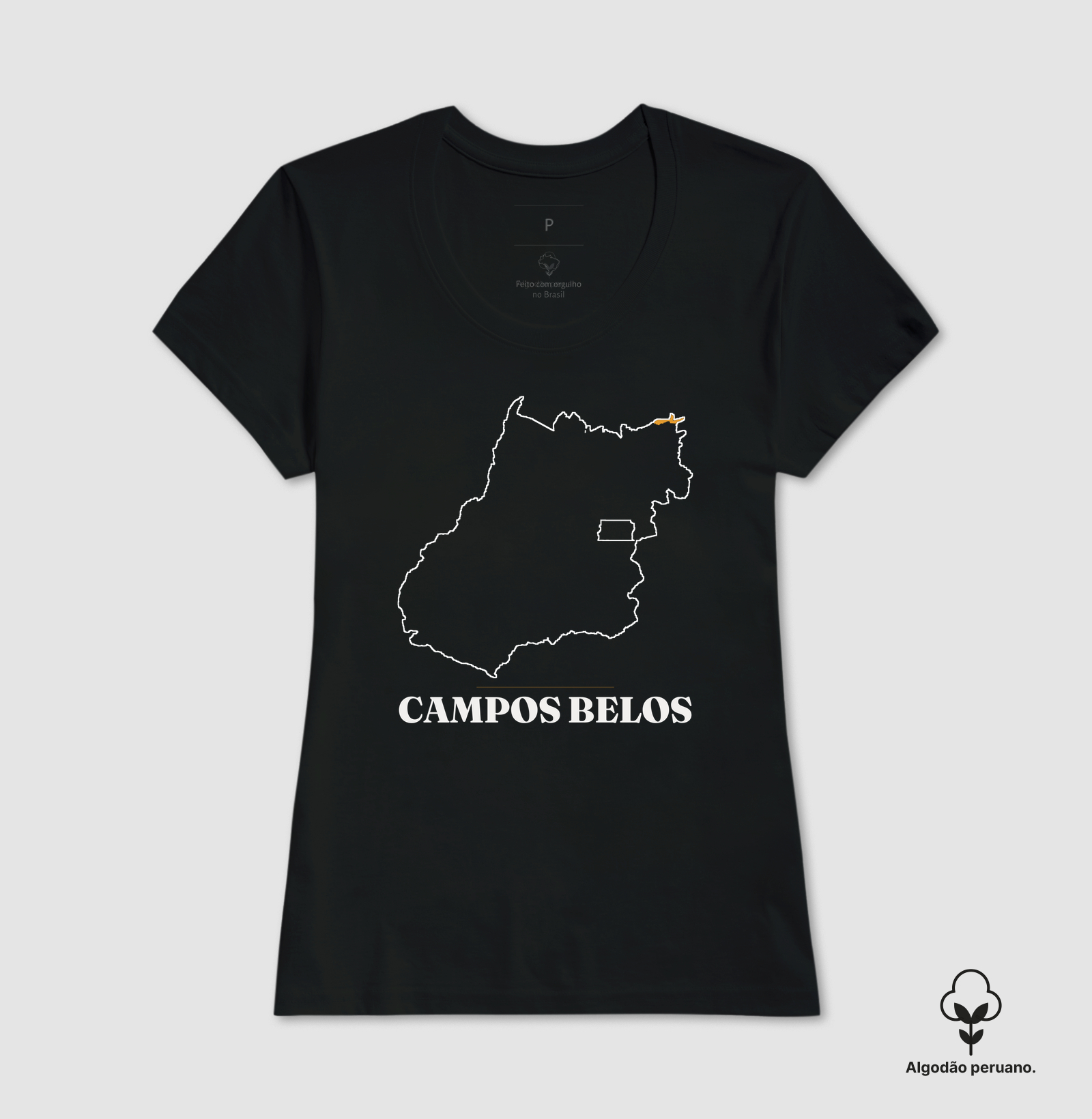 Campos Belos | Traço GO - Imagem 2