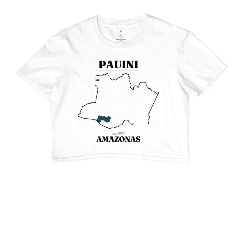 Pauini | Legado AM - Imagem 3