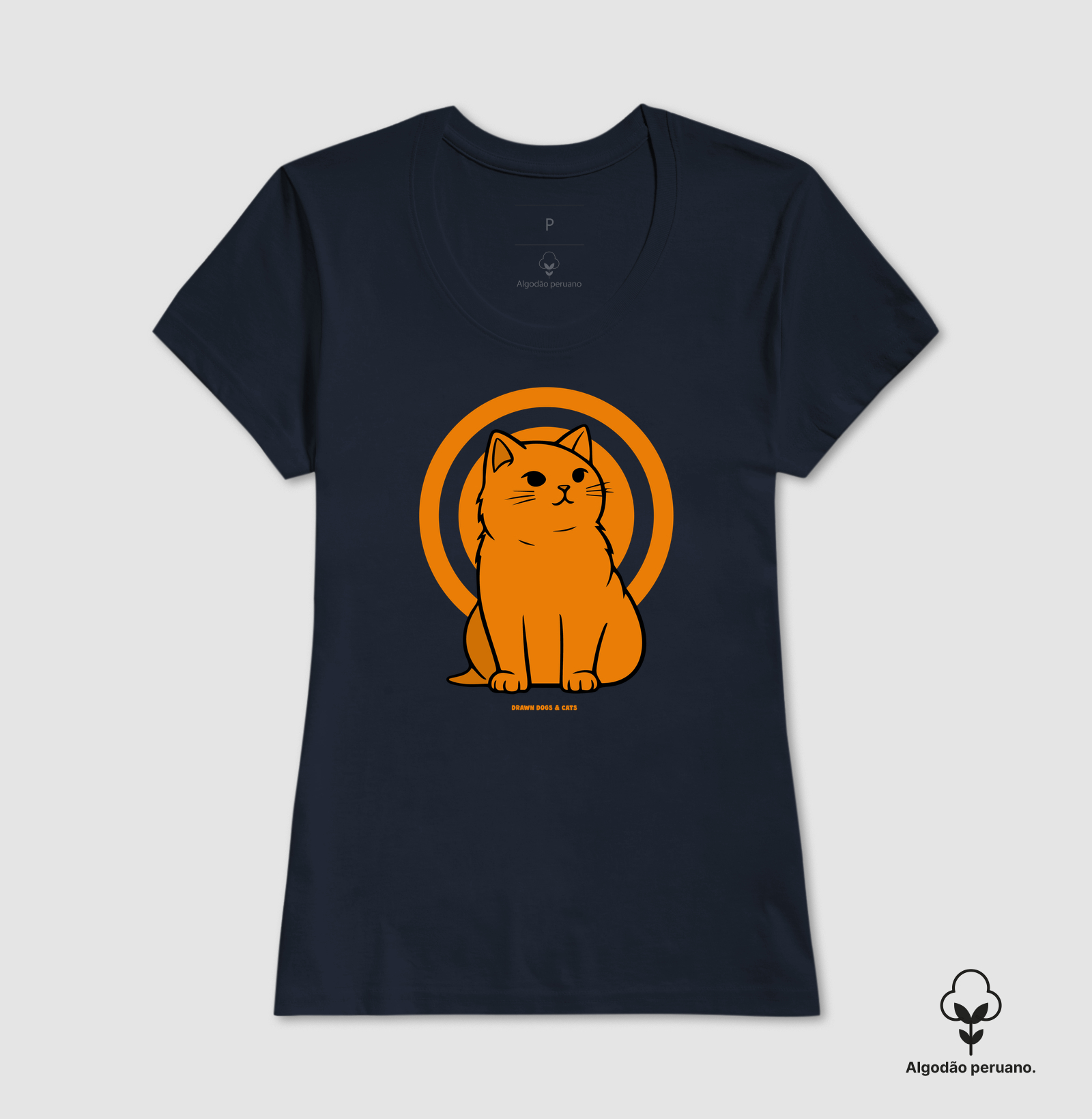 Gato laranja - Imagem 4