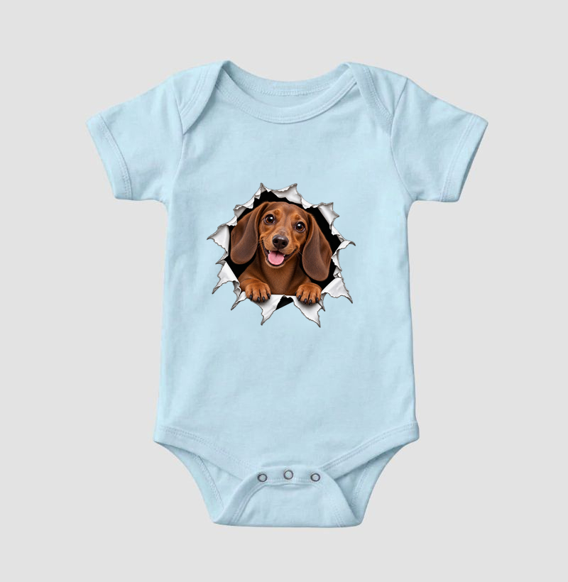 Dachshund Saindo Pelo Rasgo - Imagem 4
