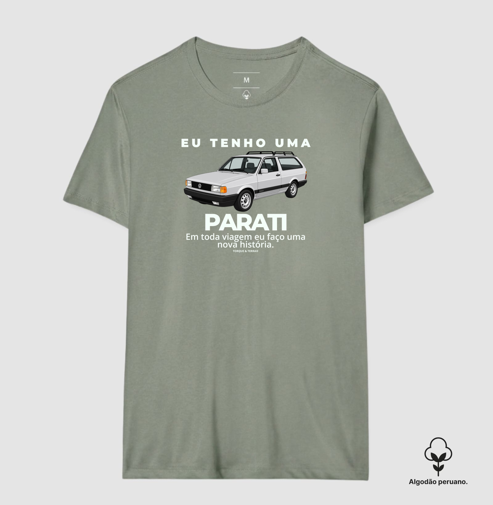 Eu tenho uma Parati prata - Imagem 9