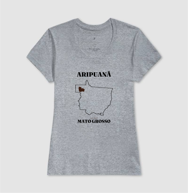 Aripuanã | Legado MT - Imagem 9