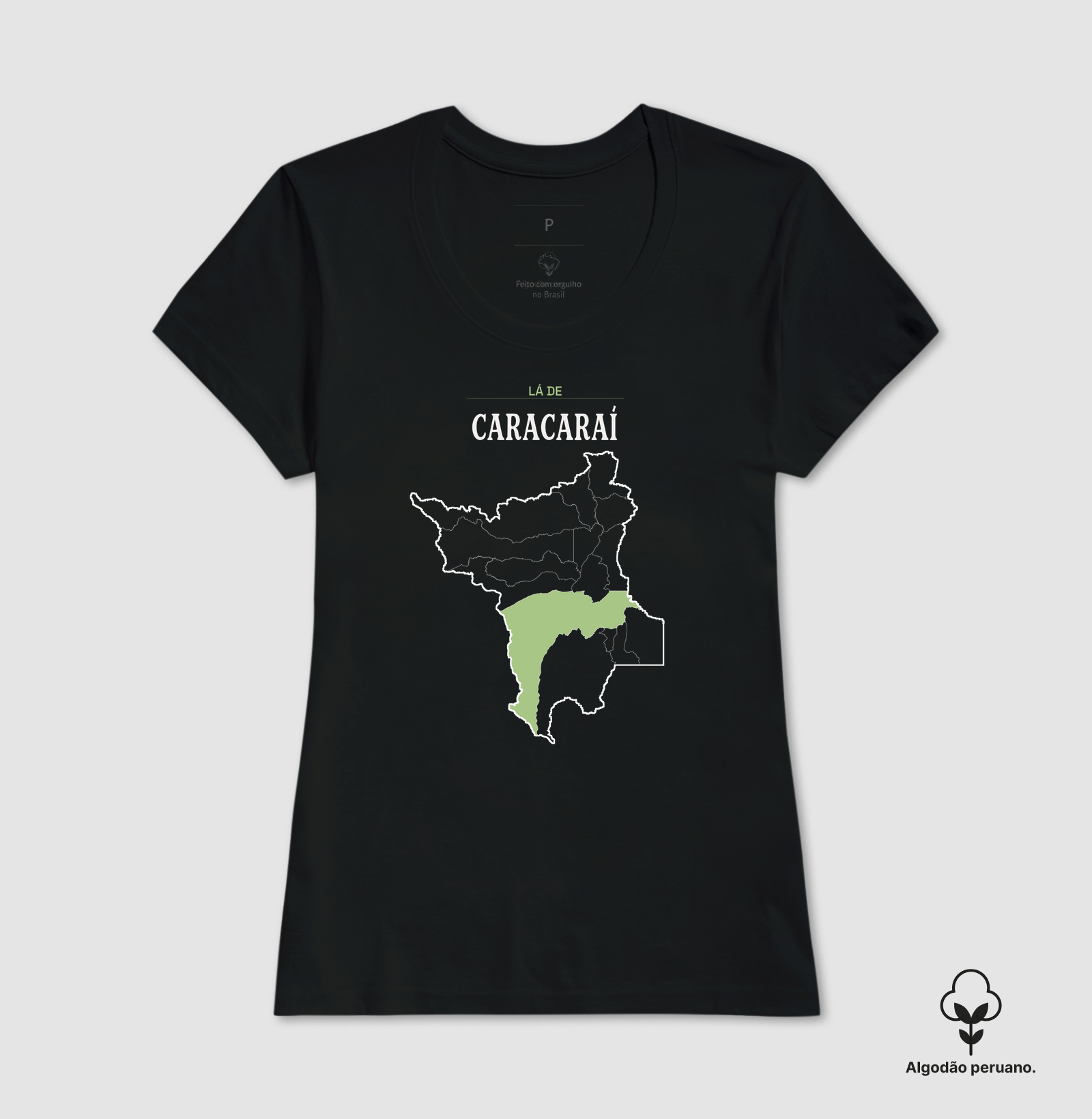 Caracaraí | Território RR - Imagem 4