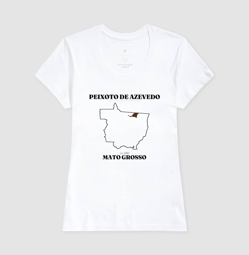 Peixoto de Azevedo | Legado MT - Imagem 5