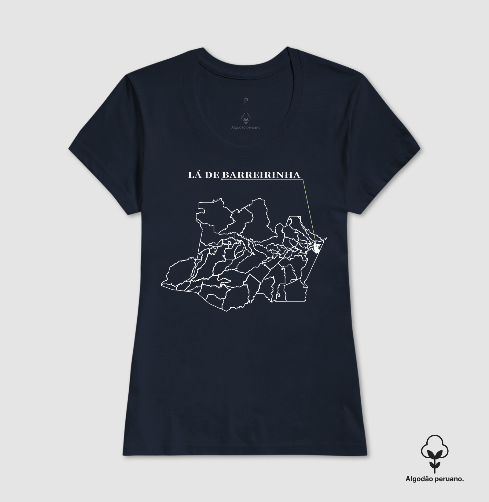 Barreirinha | Origem AM - Imagem 7