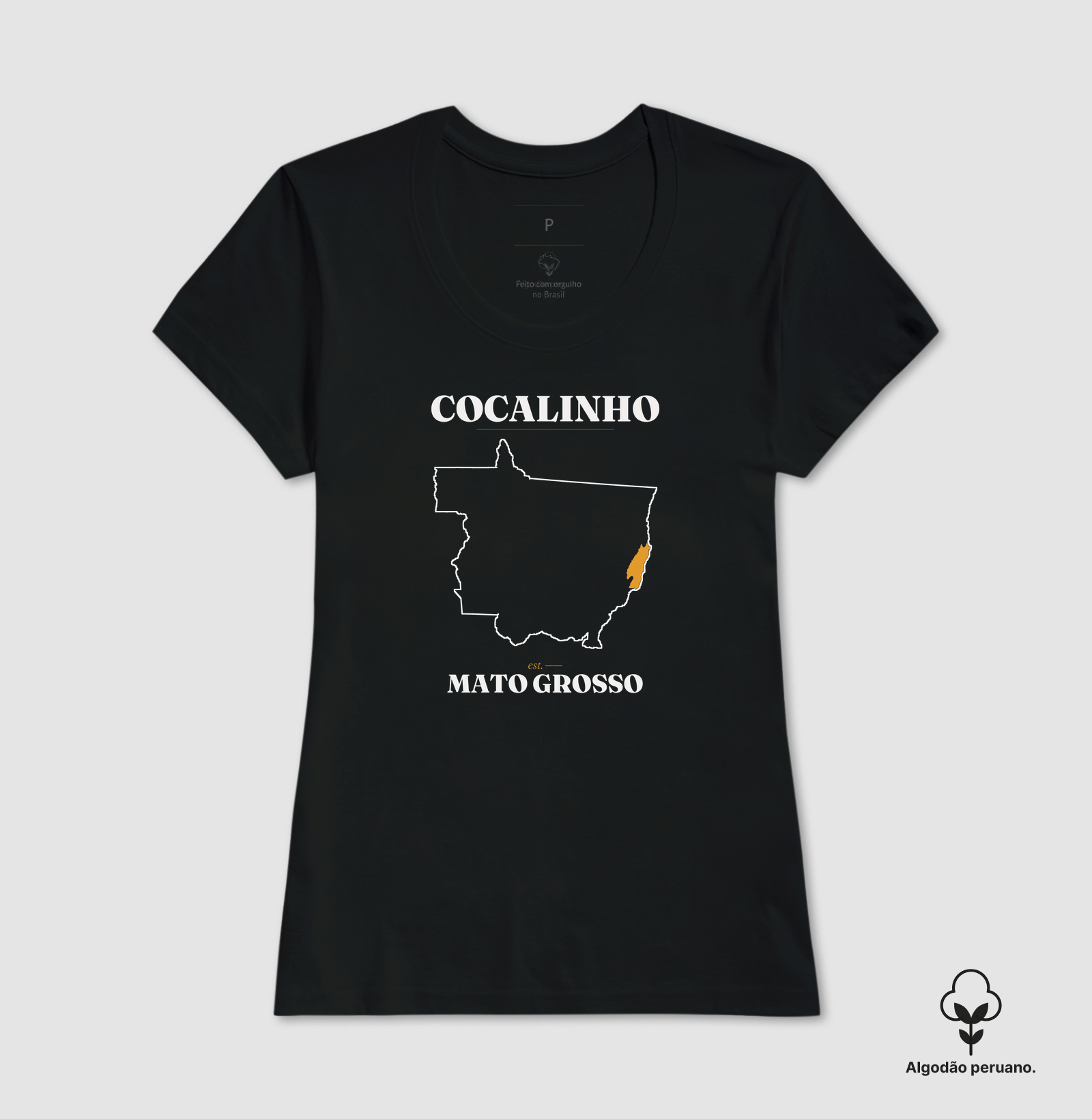 Cocalinho | Legado MT - Imagem 4