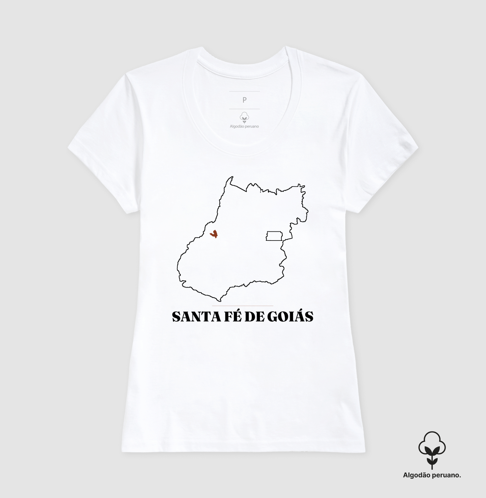 Santa Fé de Goiás | Traço GO - Imagem 6