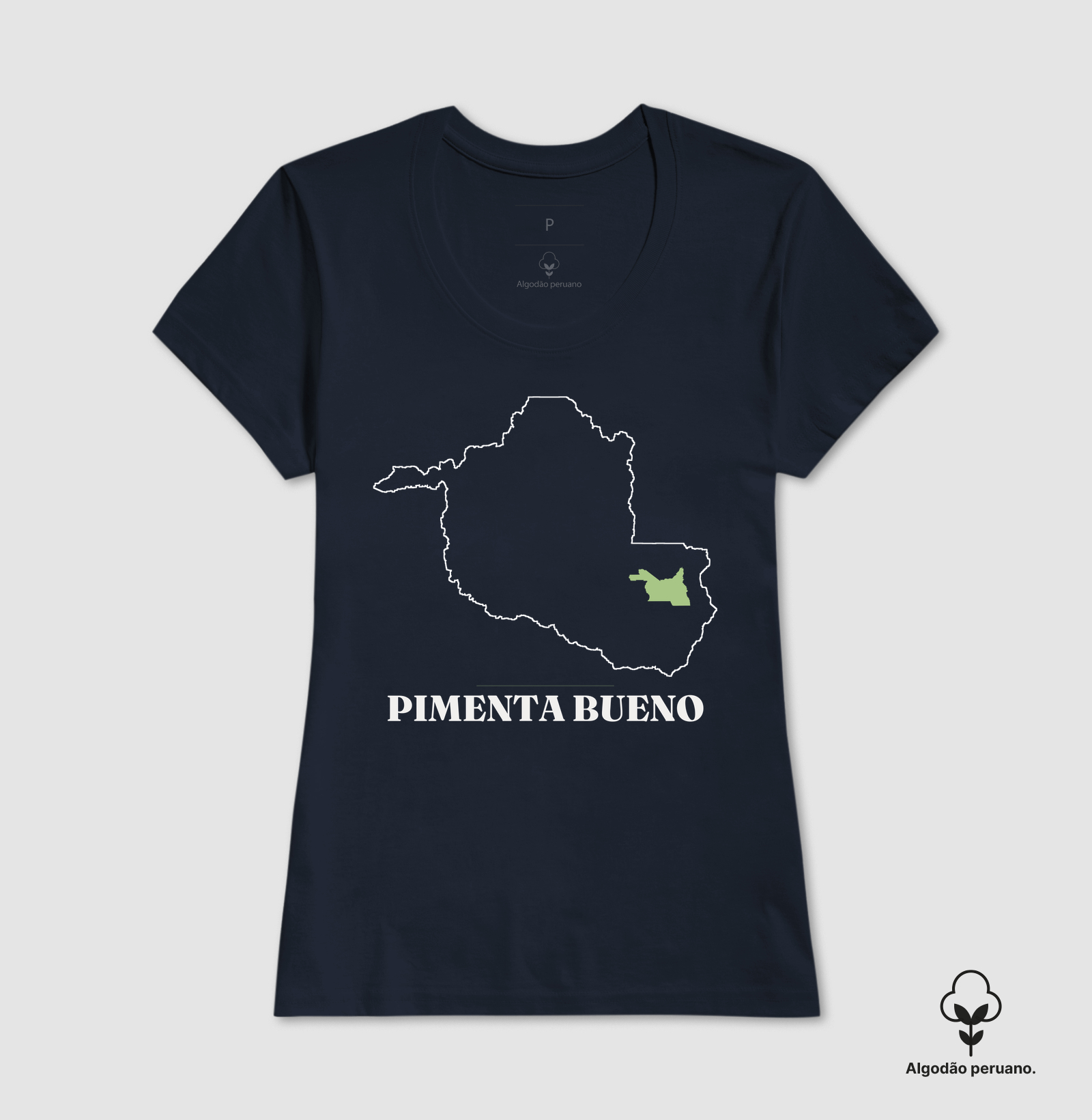 Pimenta Bueno | Traço RO - Imagem 9