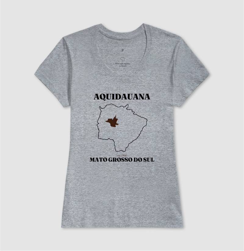 Aquidauana | Legado MS - Imagem 9