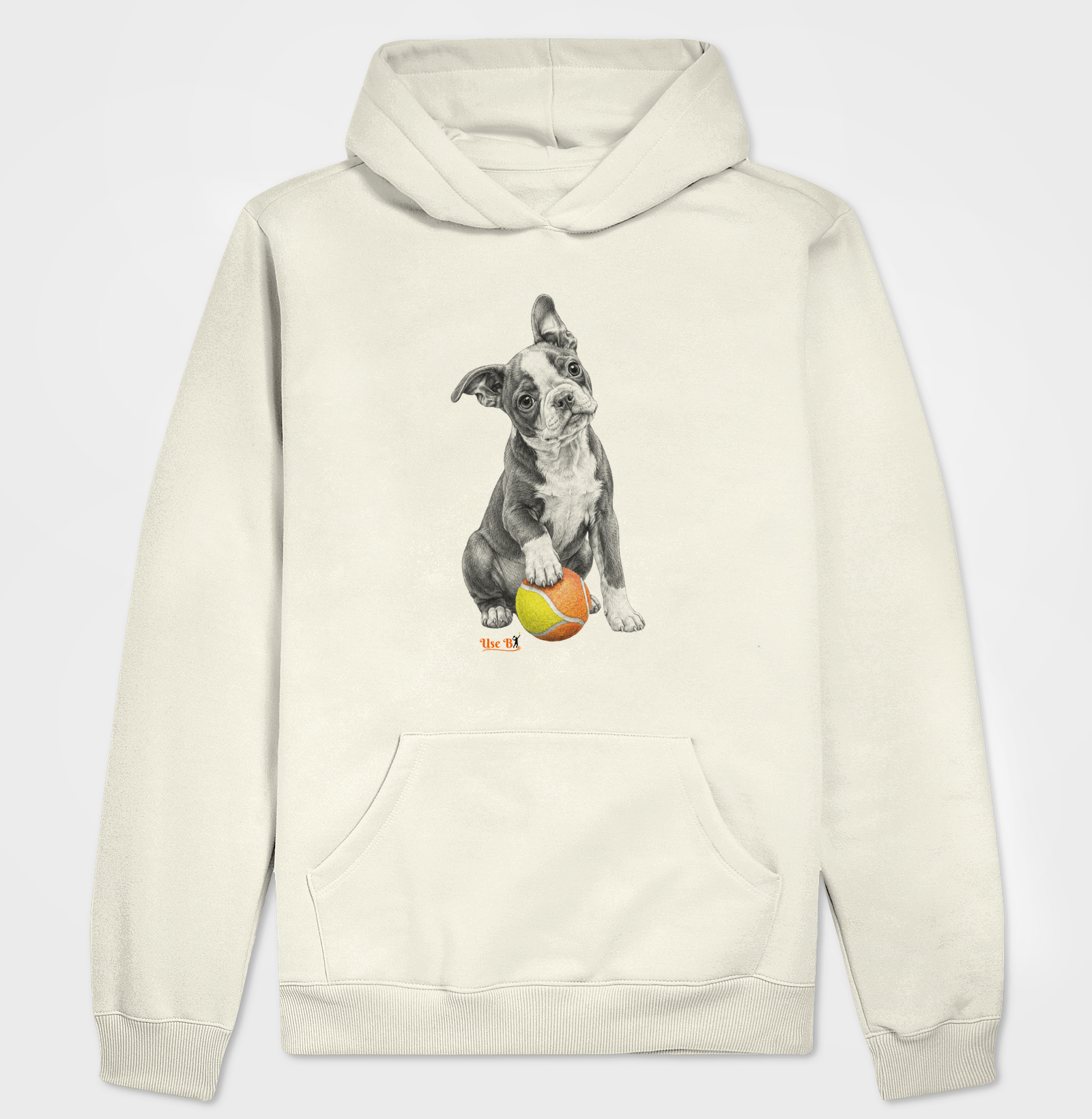 Boston Terrier do Beach - Imagem 3
