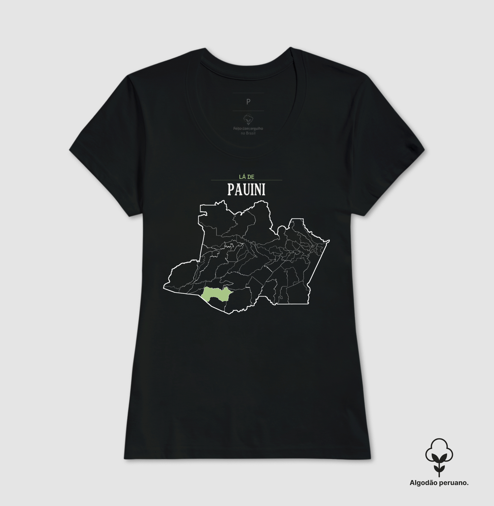 Pauini | Território AM - Imagem 2