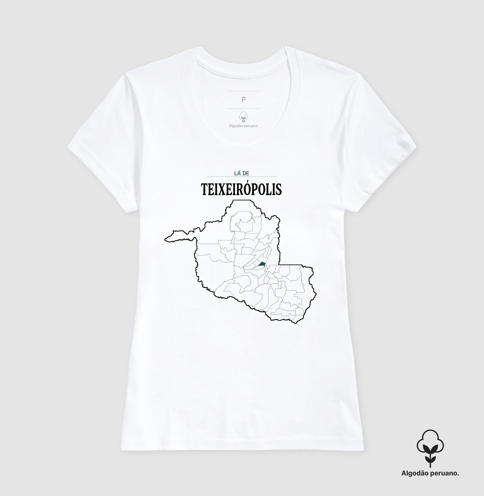 Teixeirópolis | Território RO - Imagem 7