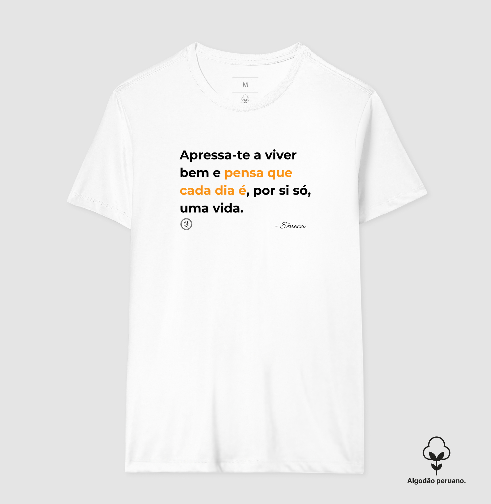Estocisimo de Sêneca "Apressa-te a viver bem" - Imagem 6