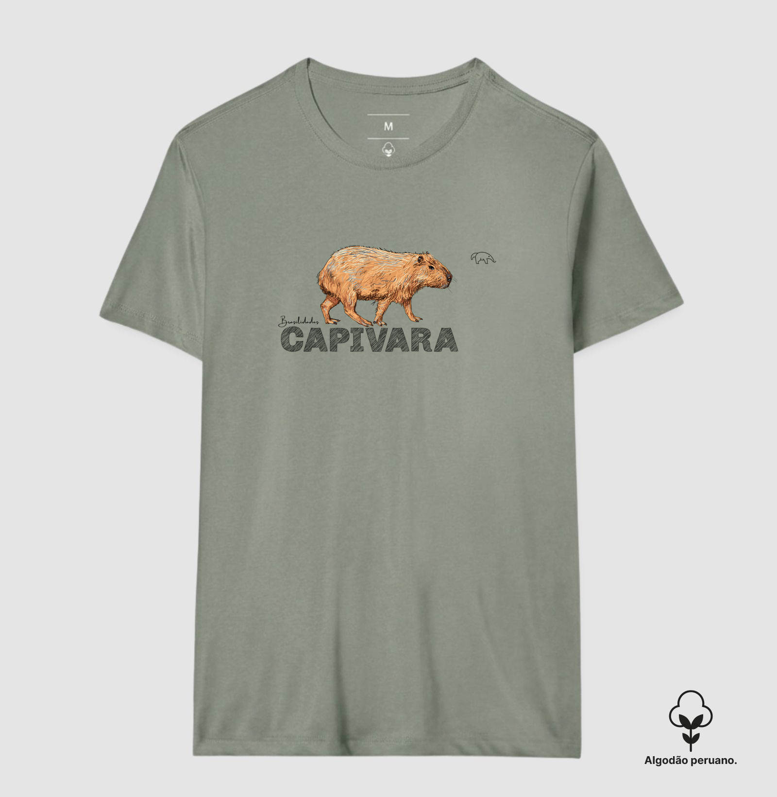 Capivara - Imagem 9