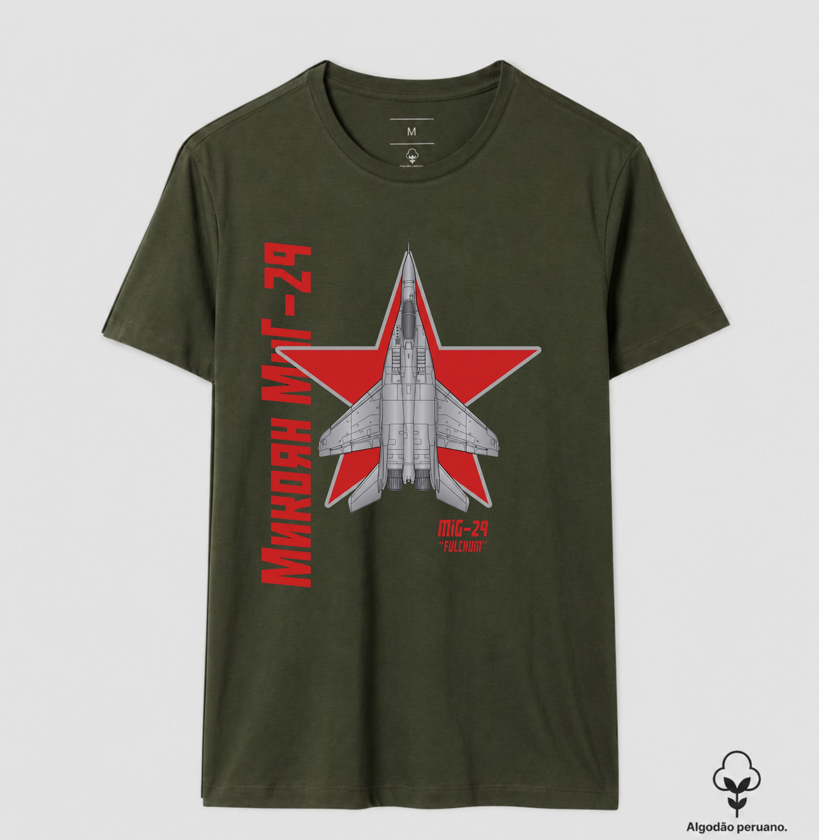 Mig29 Fulcrum - Imagem 6