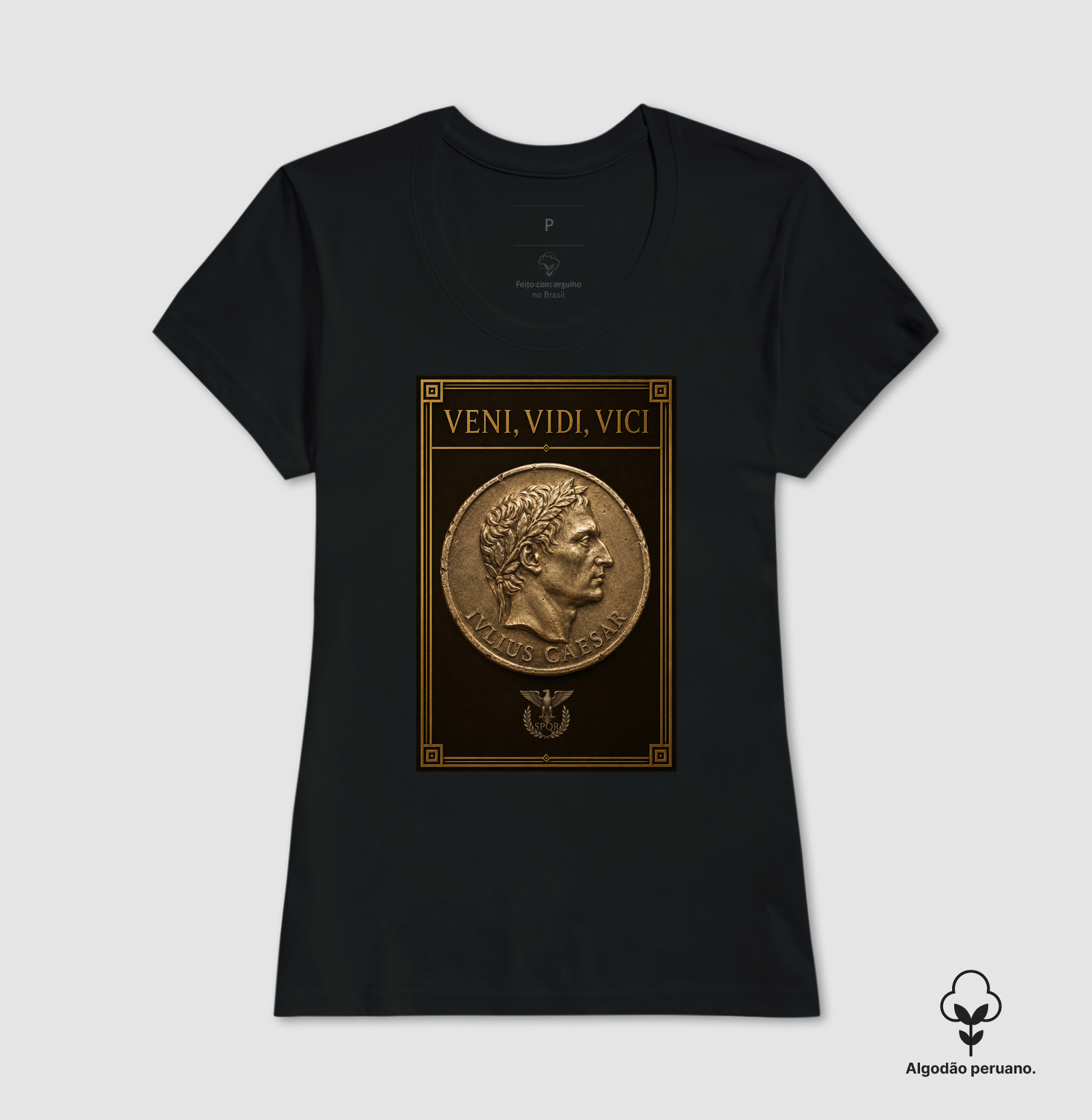 Veni, Vidi, Vici — César - Imagem 6