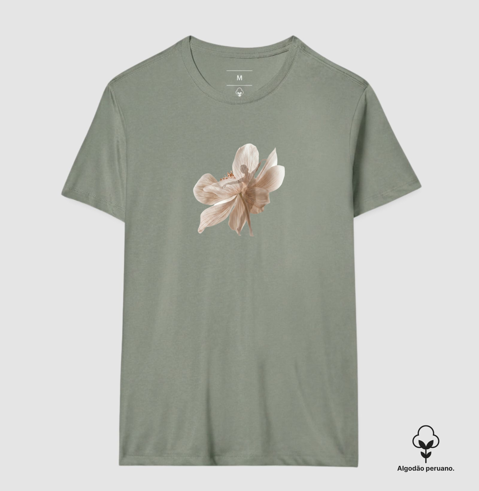 Flor - Imagem 8