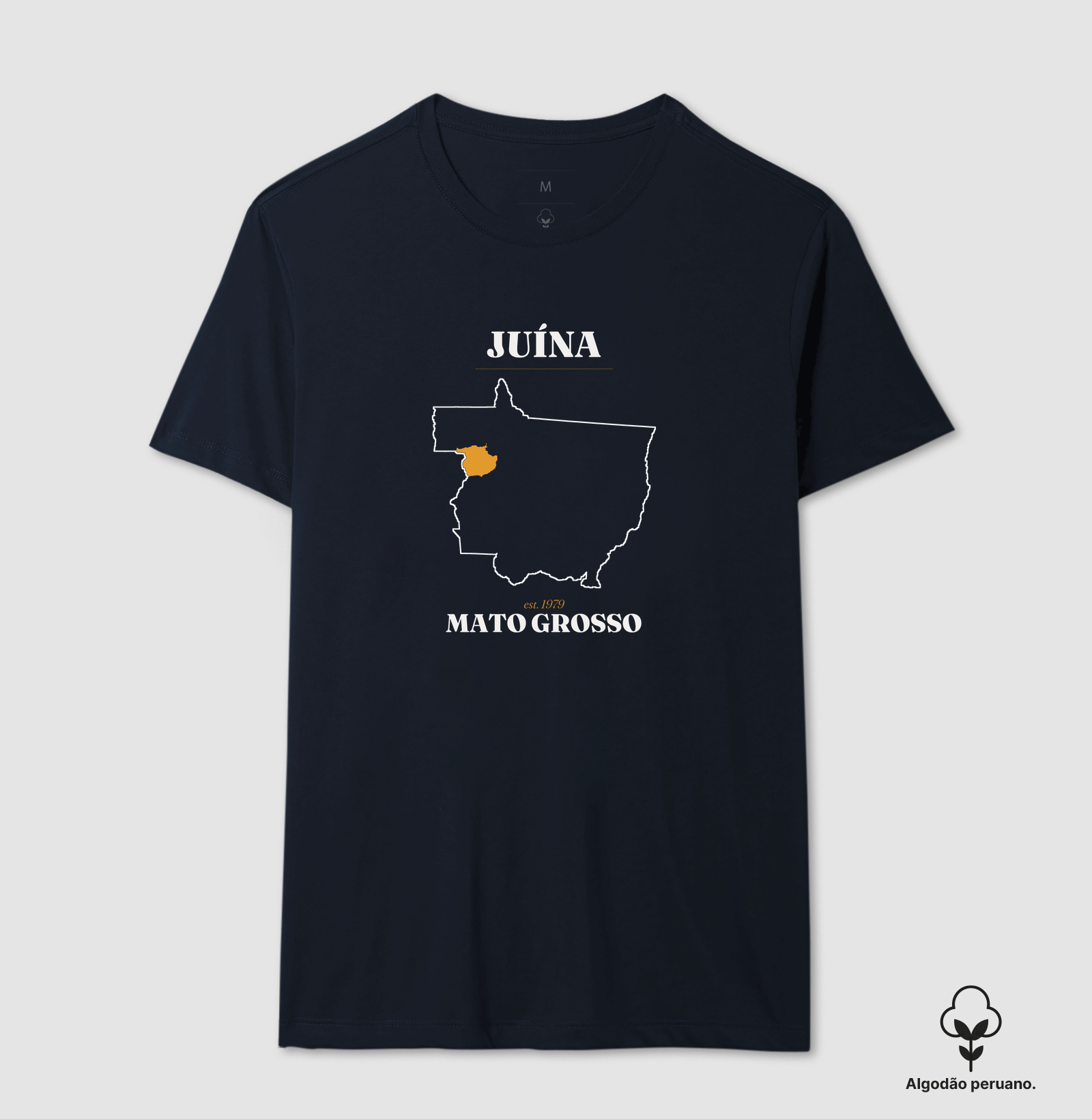 Juína | Legado MT - Imagem 2