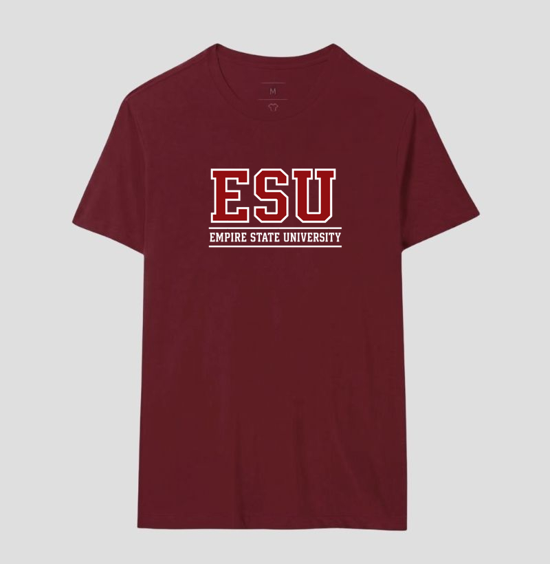 Empire State University - Imagem 17