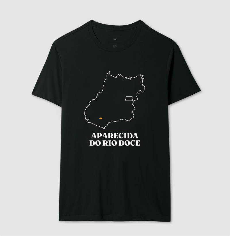 Aparecida do Rio Doce | Traço GO - Imagem 2