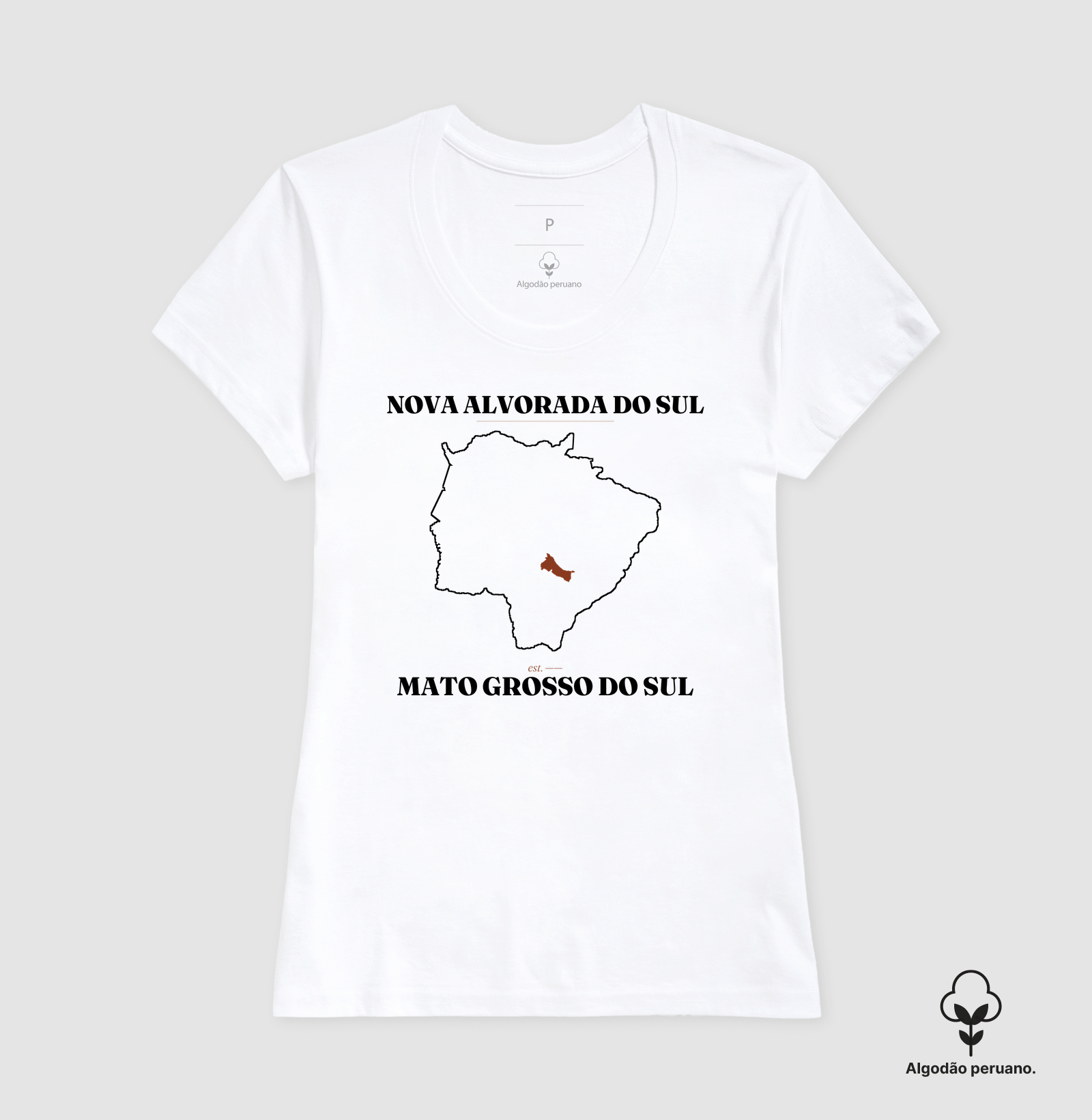 Nova Alvorada do Sul | Legado MS - Imagem 5