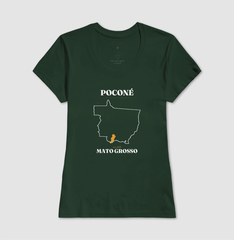 Poconé | Legado MT - Imagem 13