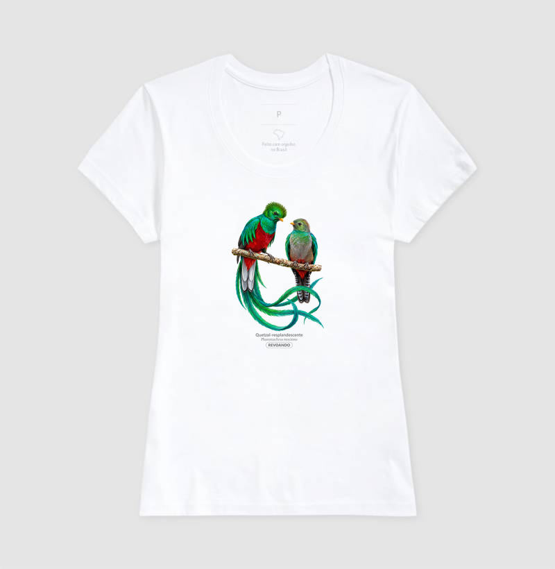 Traços Alados - Quetzal-resplandescente - Imagem 7