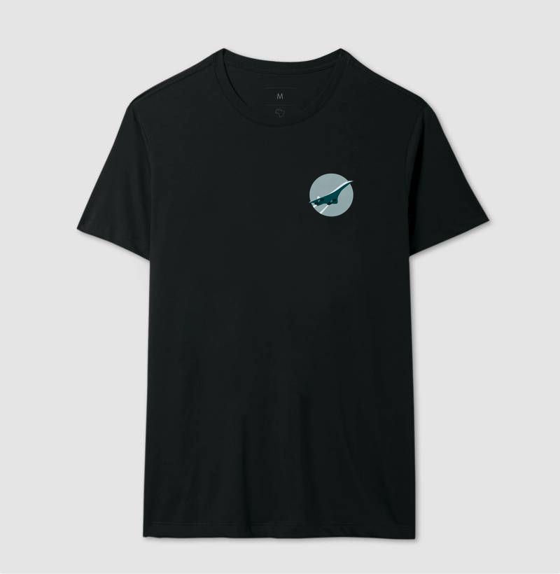 Concorde Minimalista - Imagem 2