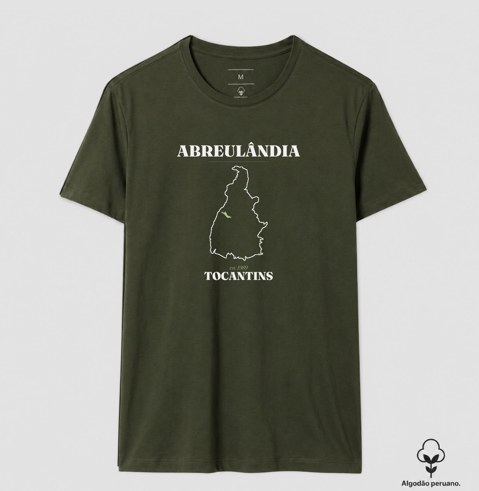 Abreulândia | Legado TO - Imagem 8