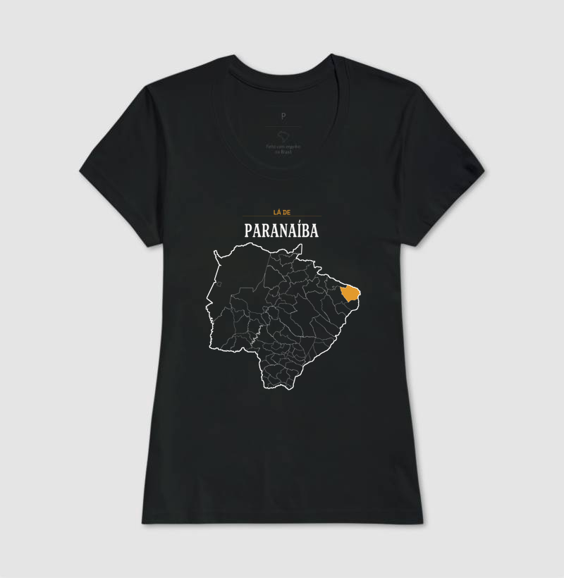 Paranaíba | Território MS - Imagem 3