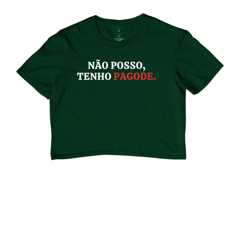 Não posso tenho pagode - Imagem 5
