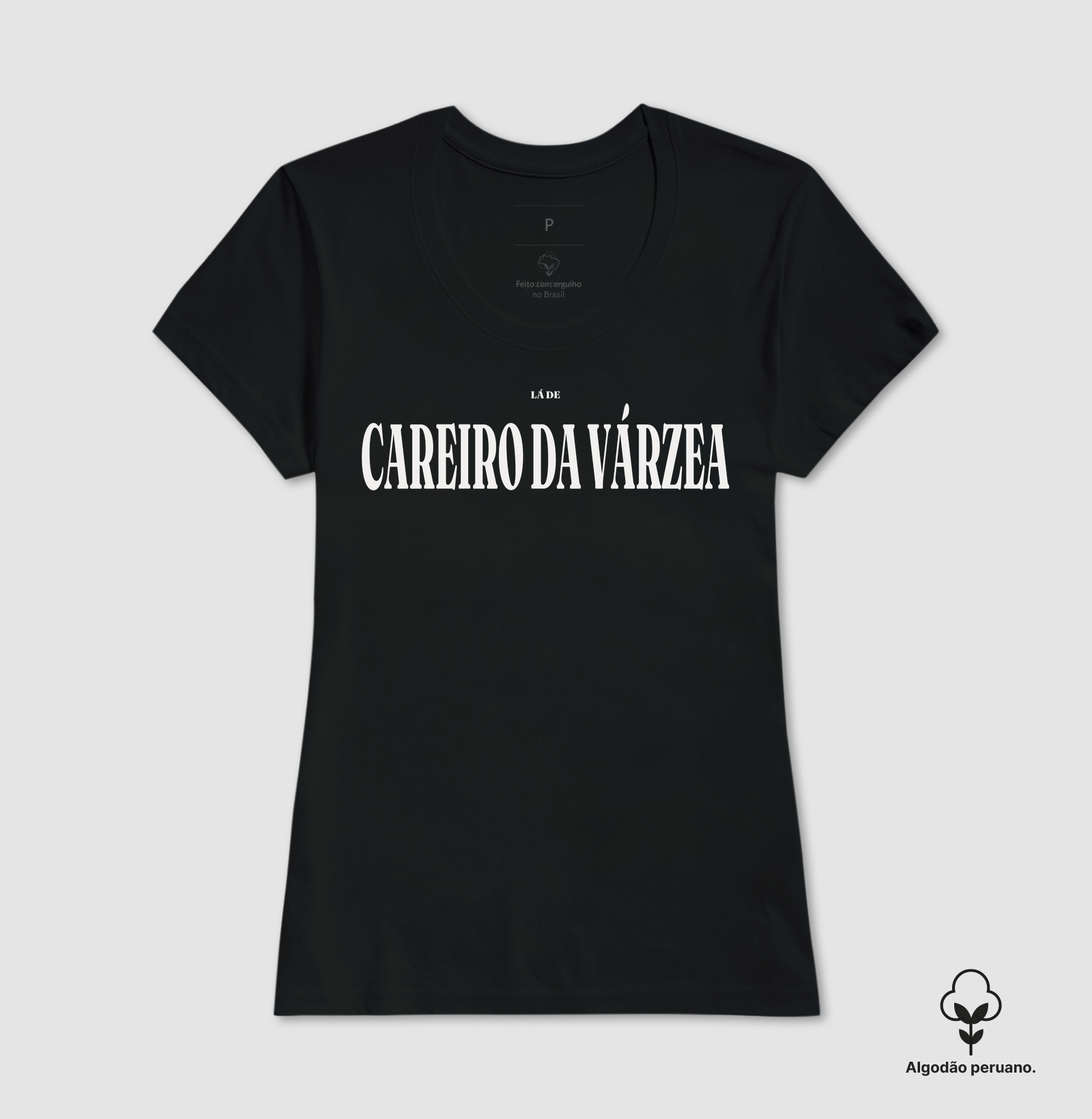 Careiro da Várzea | Tipografia AM - Imagem 4