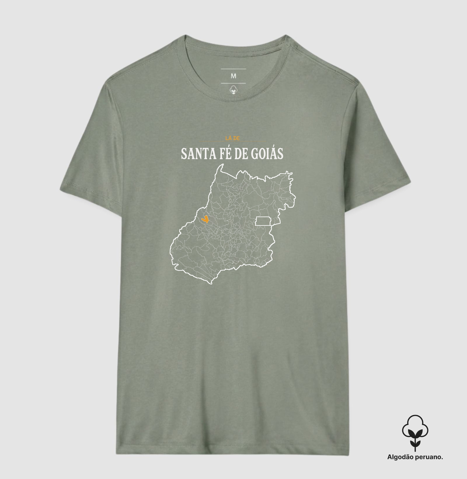 Santa Fé de Goiás | Território GO - Imagem 5