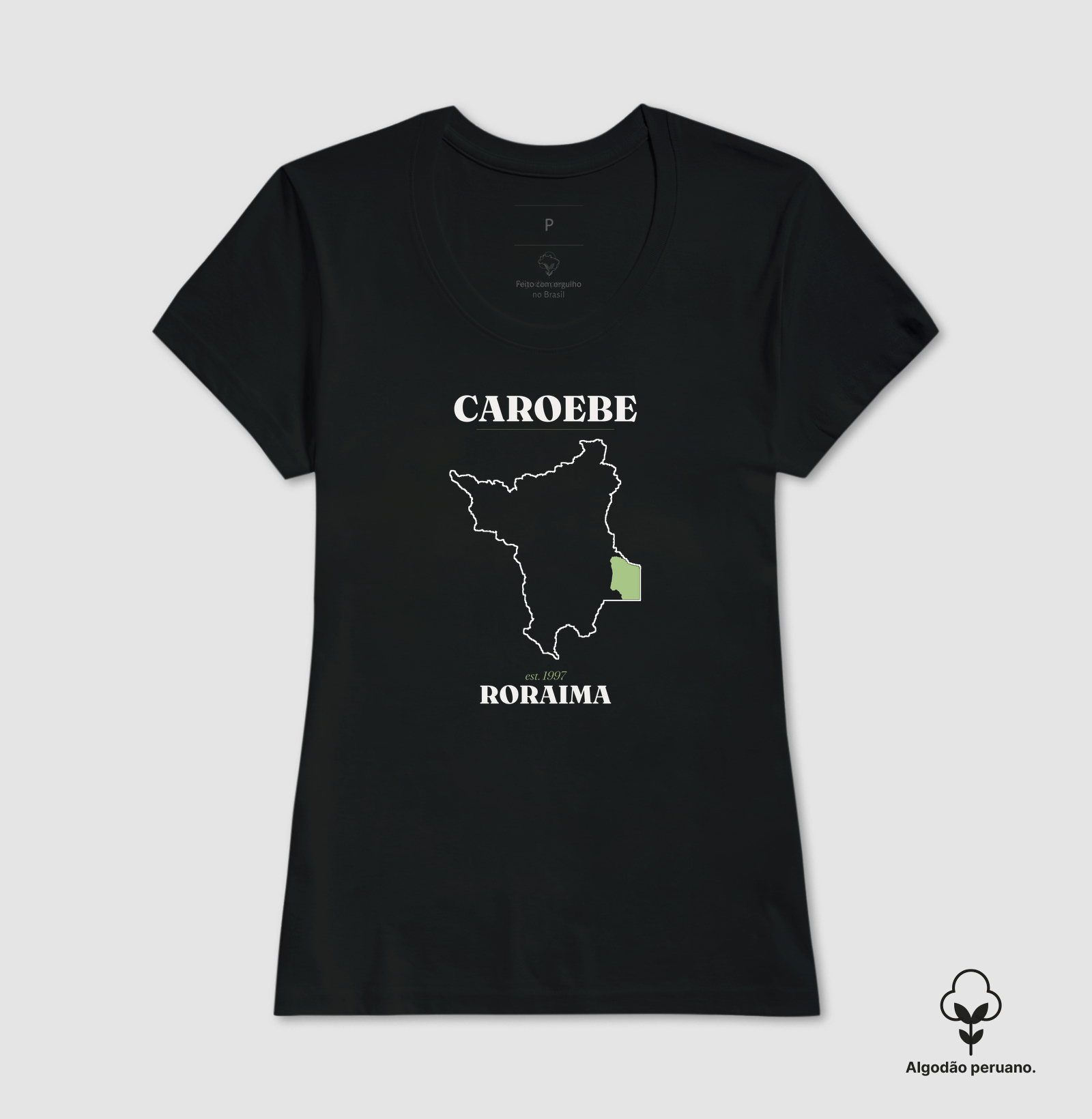 Caroebe | Legado RR - Imagem 7