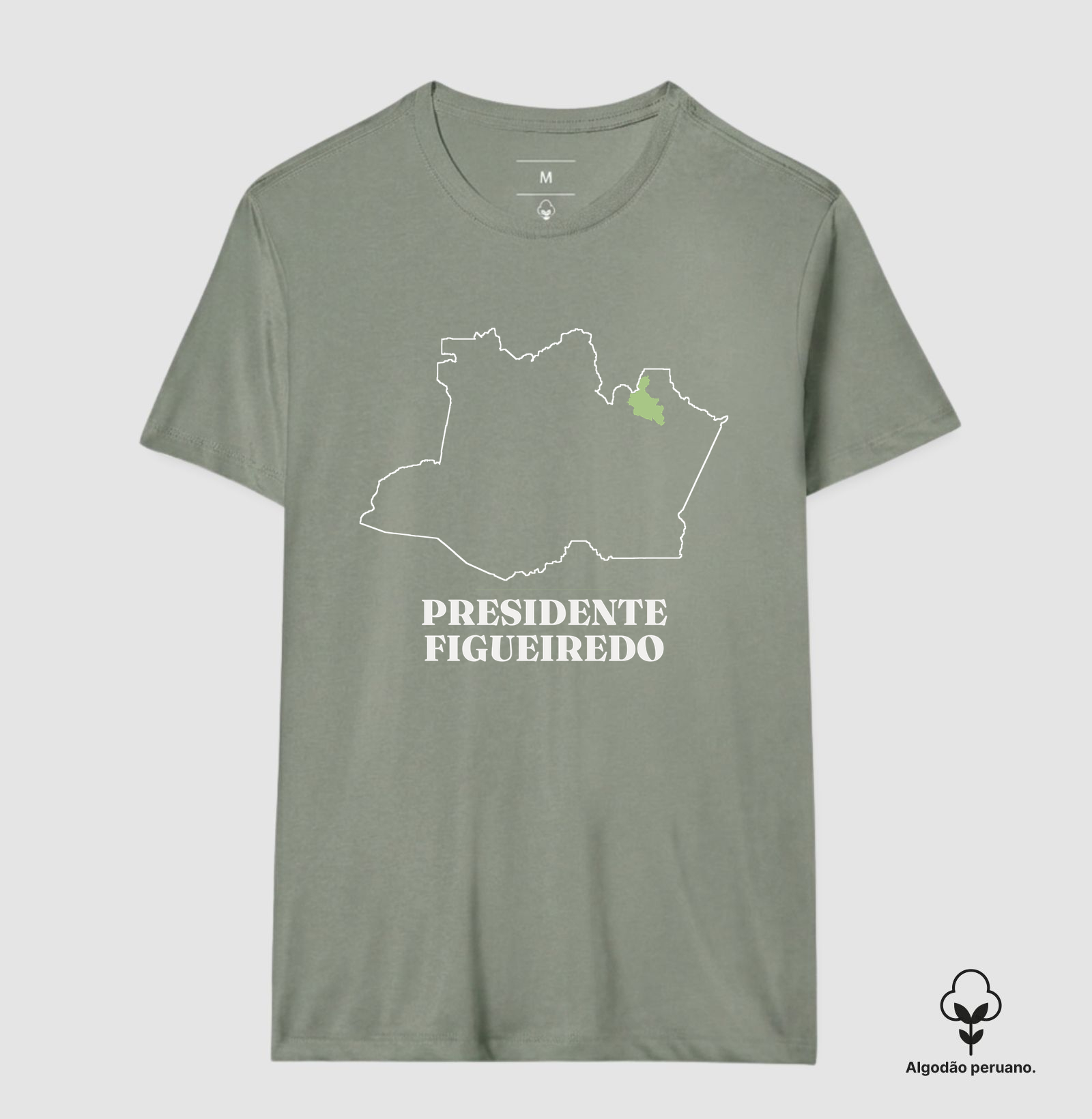 Presidente Figueiredo | Traço AM - Imagem 3