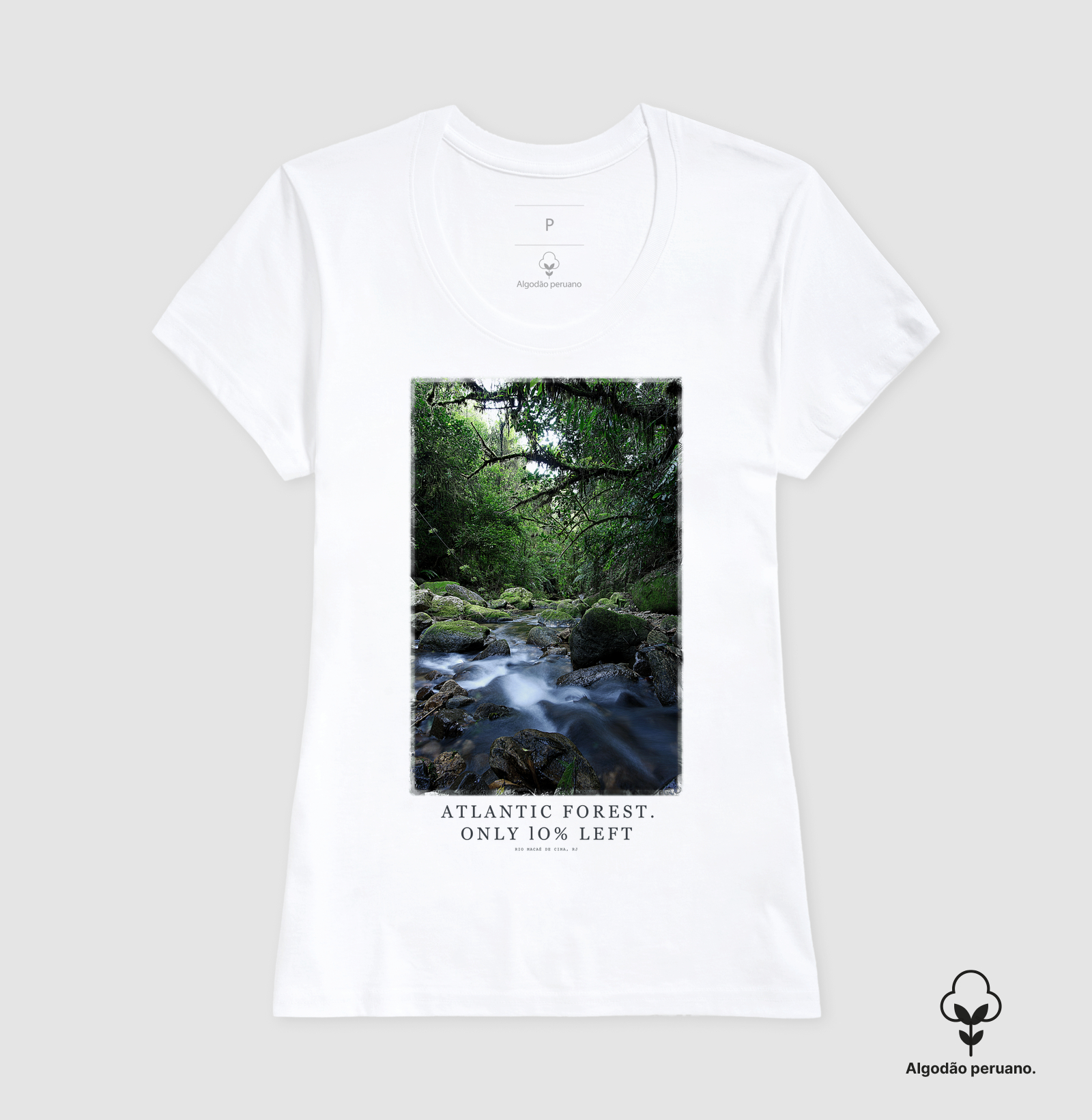 Atlantic Forest - Imagem 3