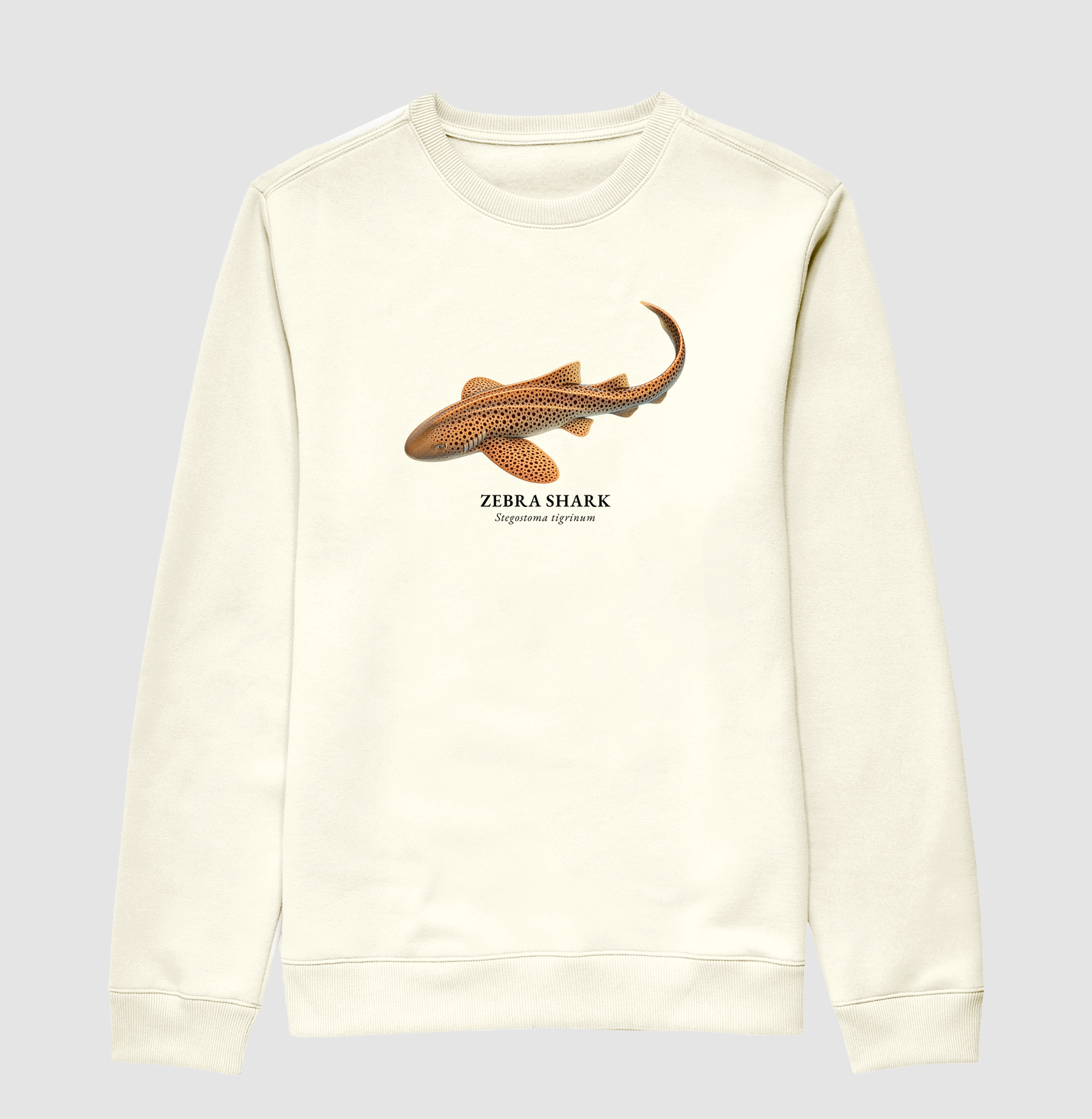 Zebra Shark - Imagem 2