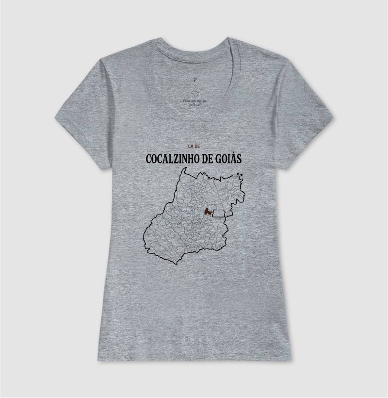 Cocalzinho de Goiás | Território GO - Imagem 9