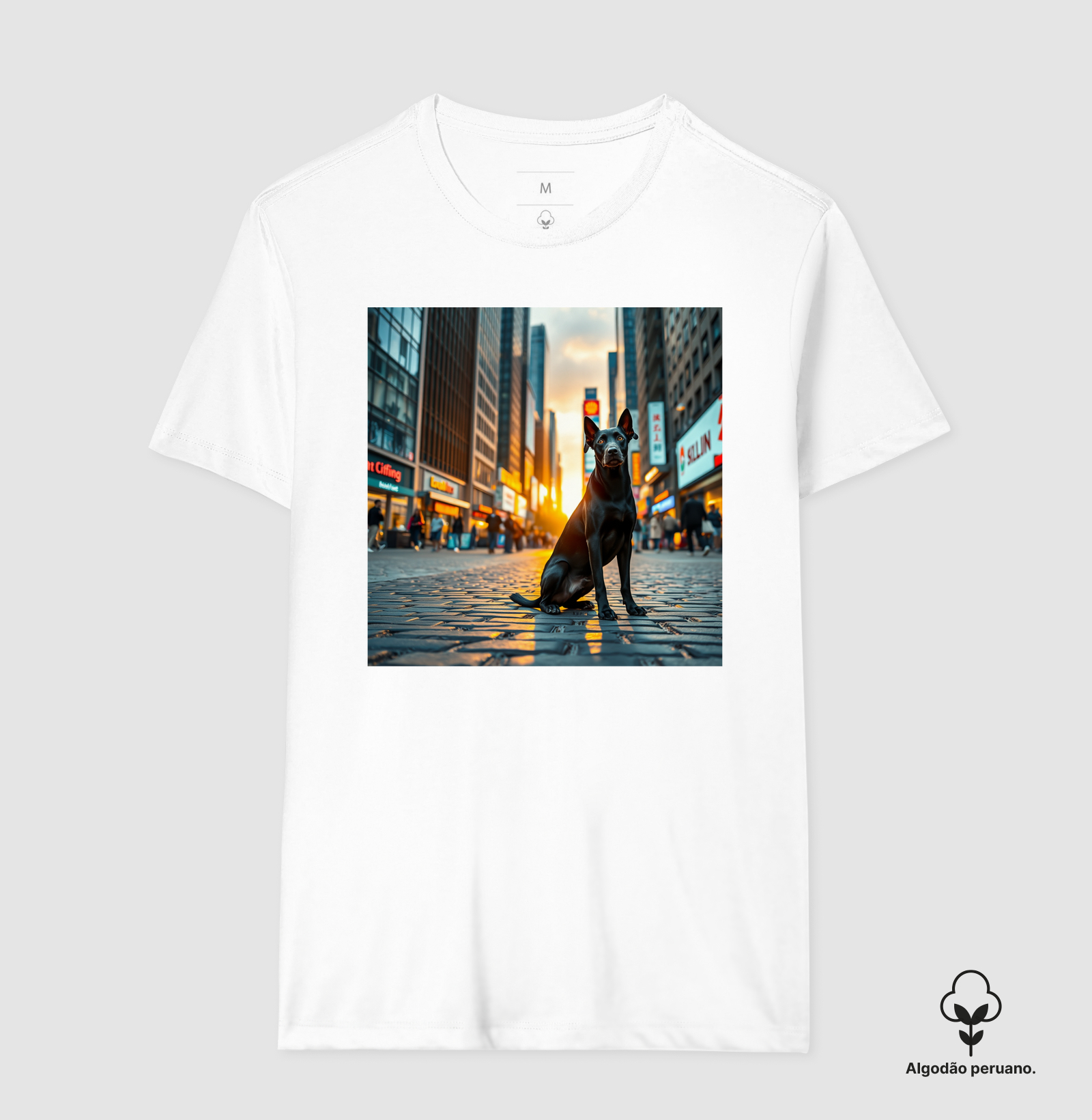 Camisa 4