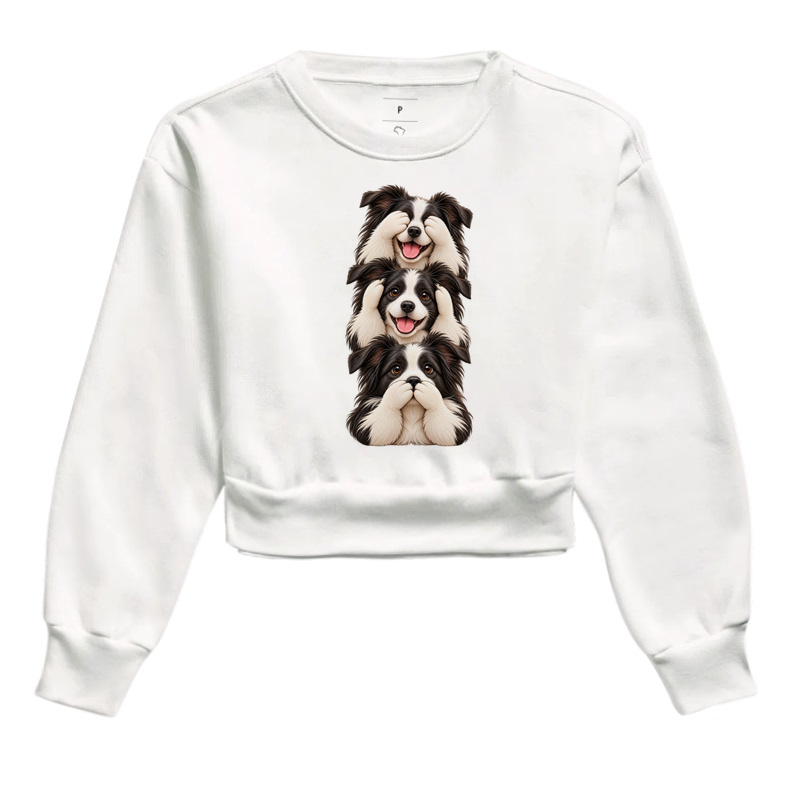 Ver, ouvir e falar Border Collie - Imagem 3