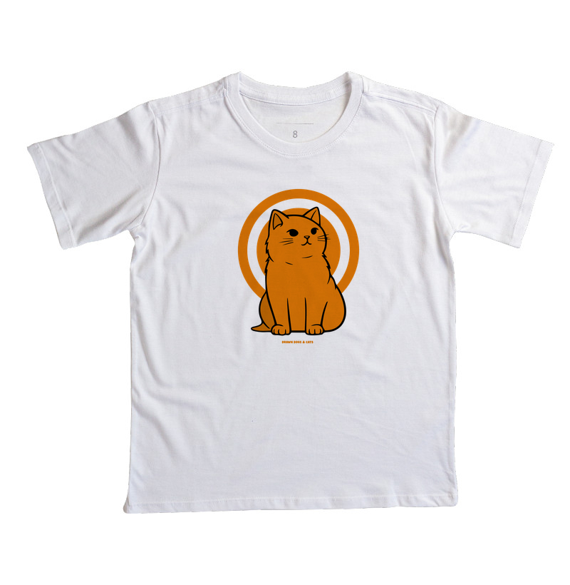 Gato laranja - Imagem 4