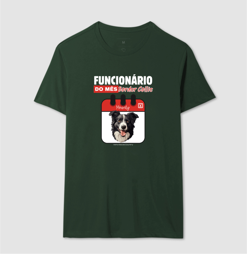 Border Collie - Imagem 10