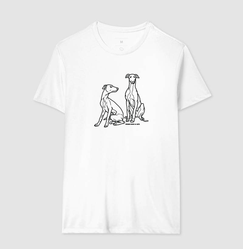 Galgo italiano - Imagem 2