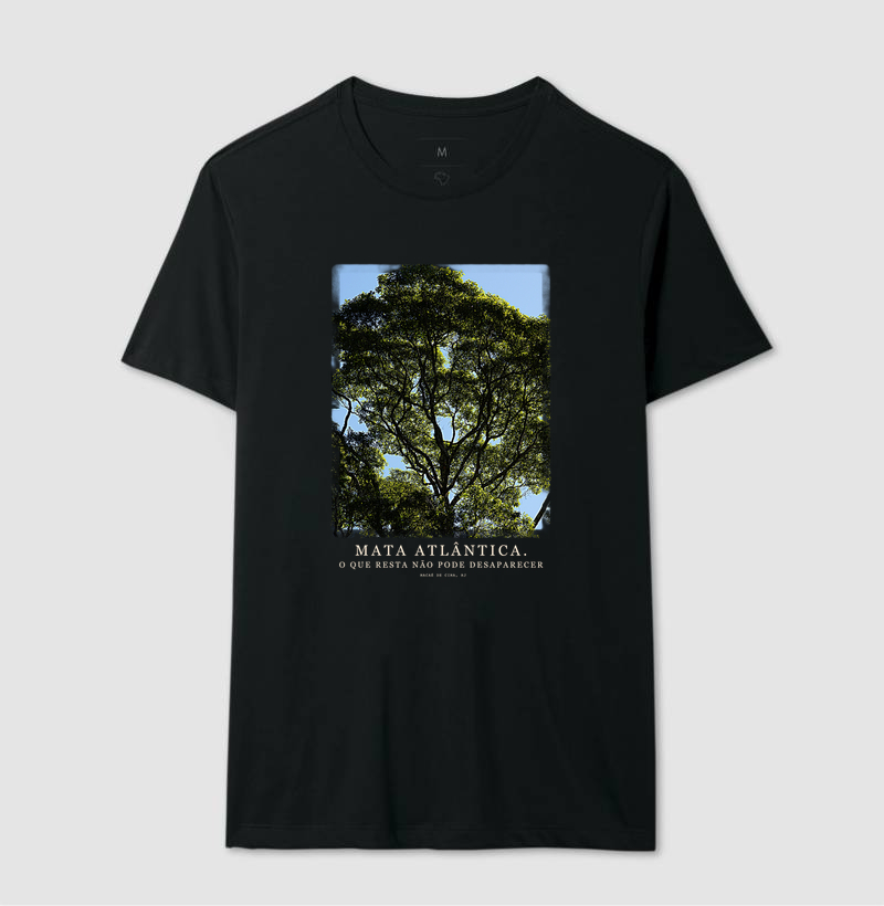 Mata Atlântica - Imagem 2