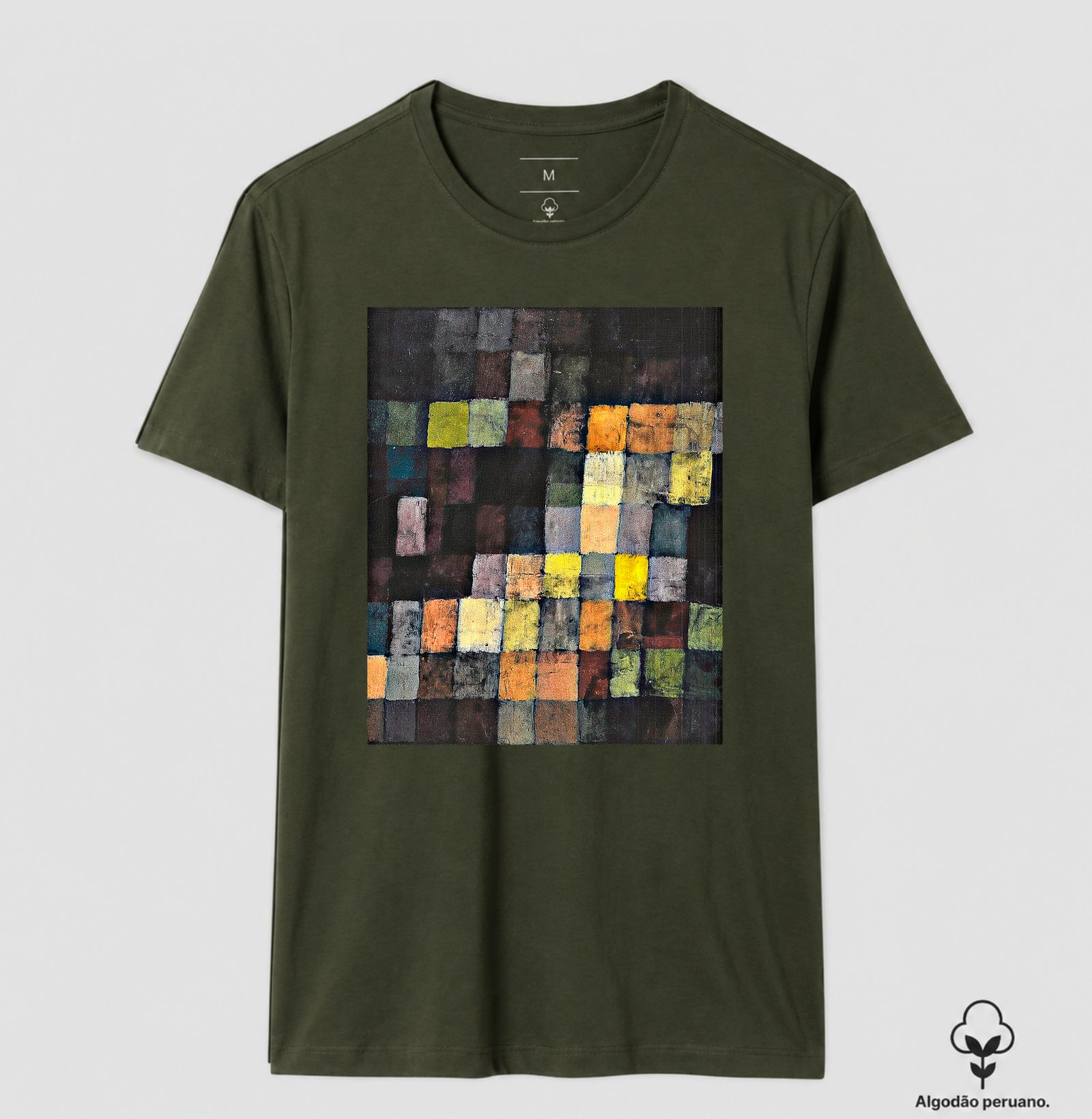 Camisa 6