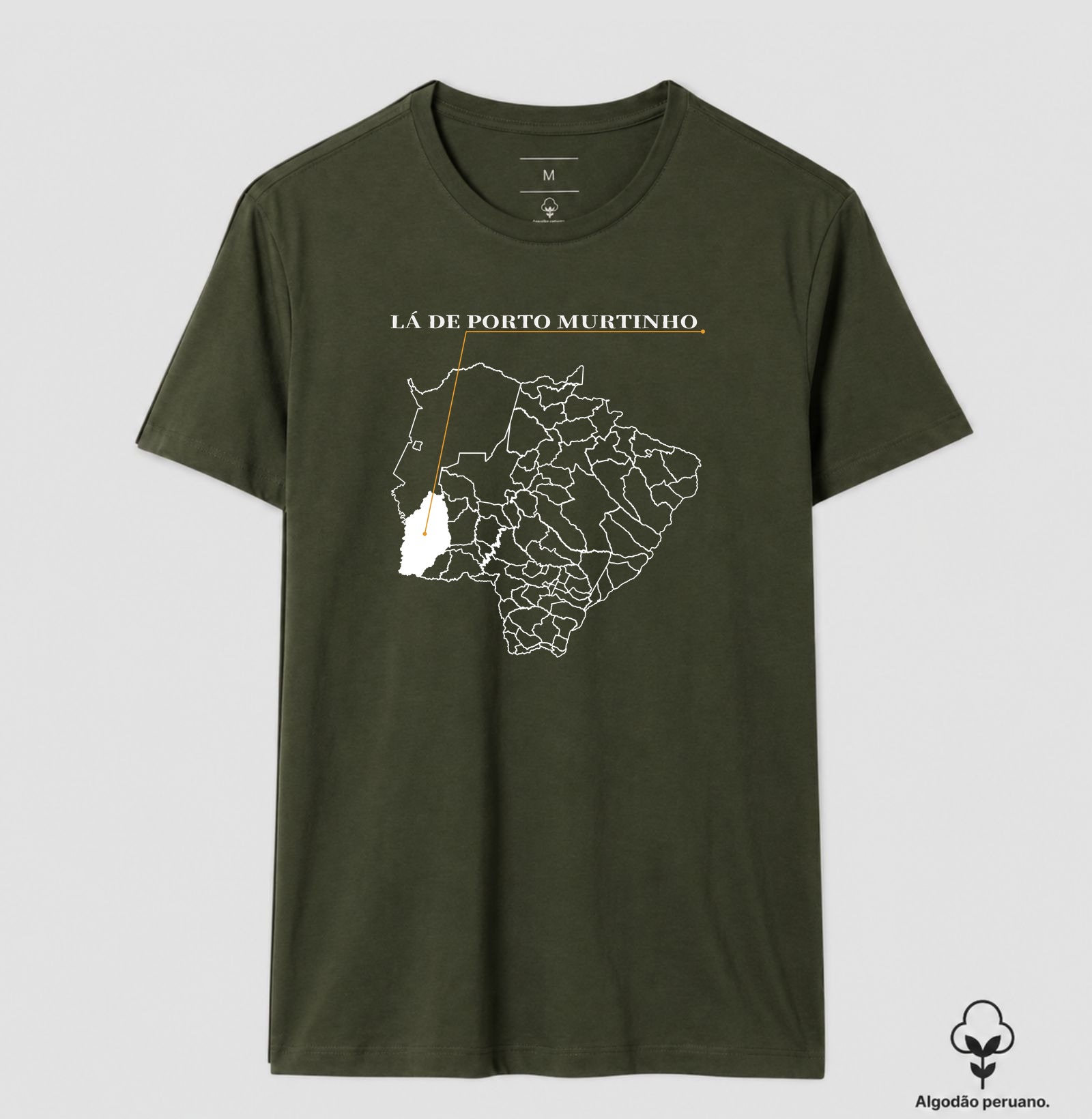 Porto Murtinho | Origem MS - Imagem 7
