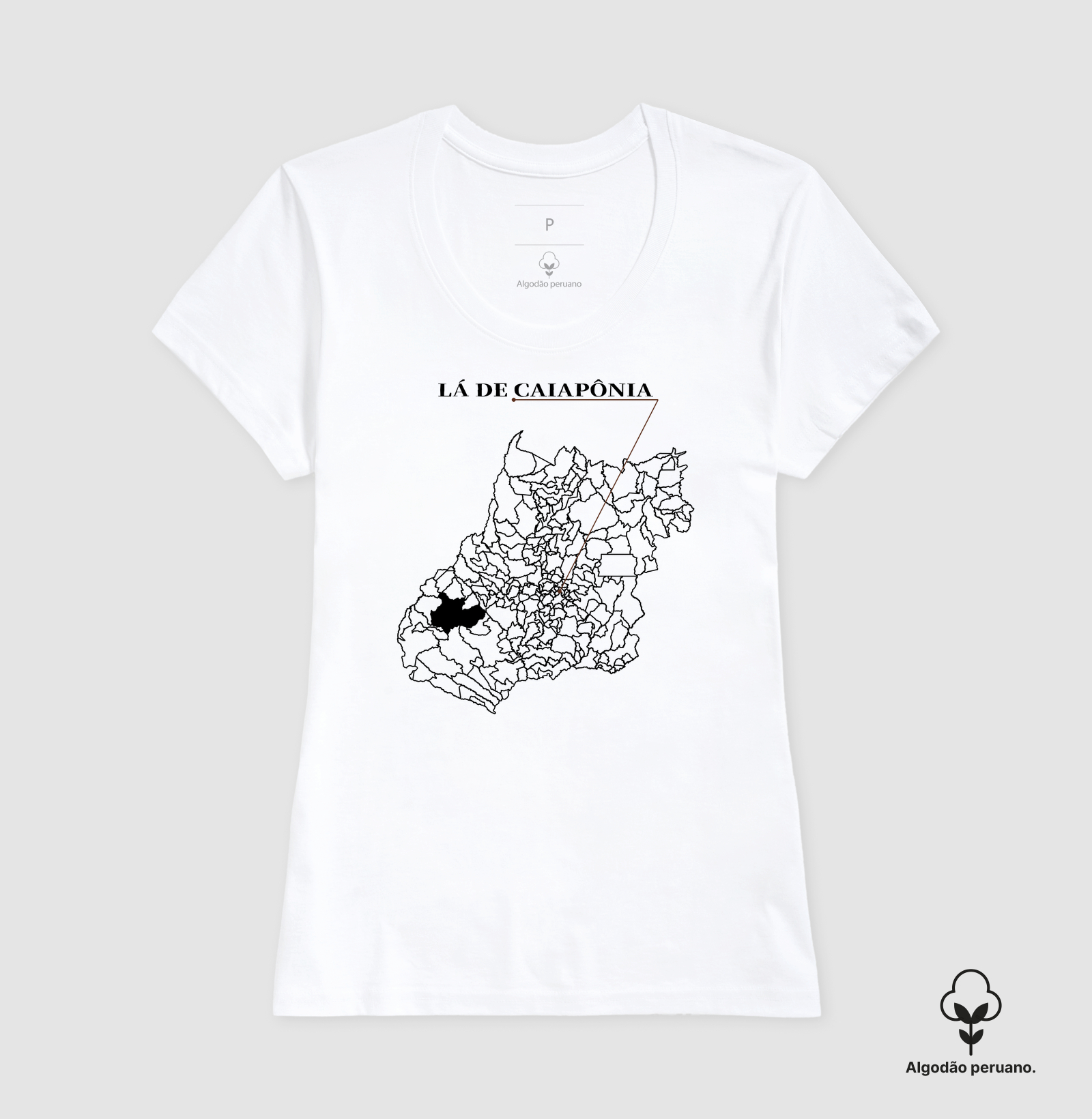 Caiapônia | Origem GO - Imagem 6
