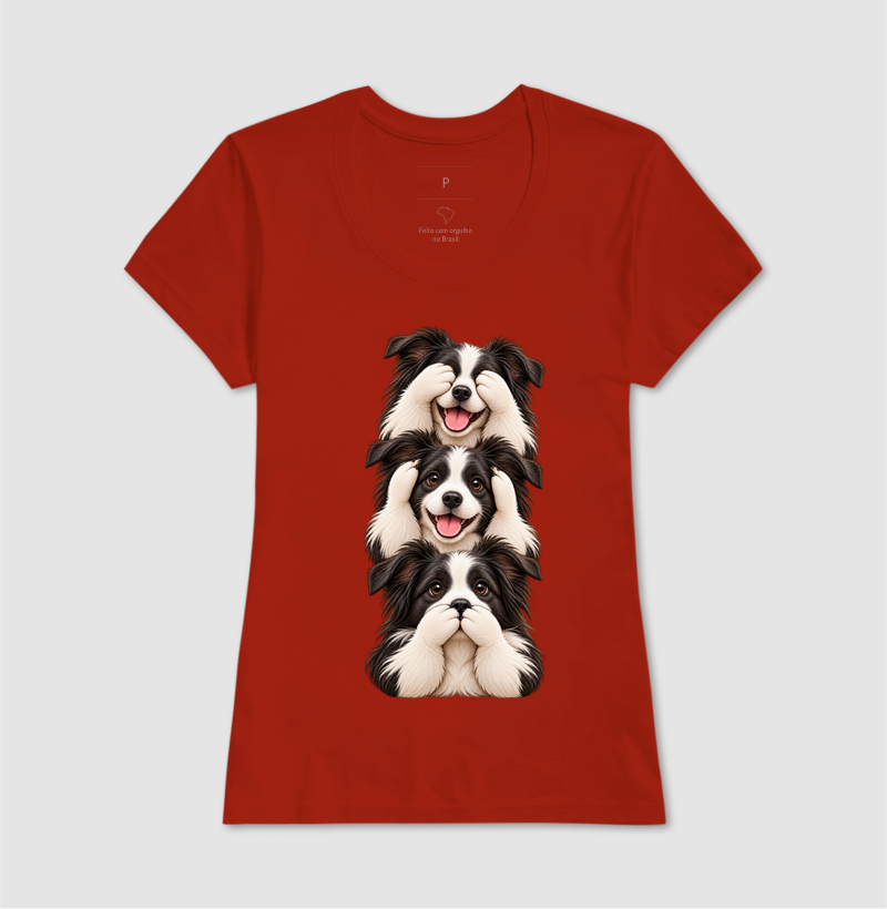 Ver, ouvir e falar Border Collie - Imagem 9